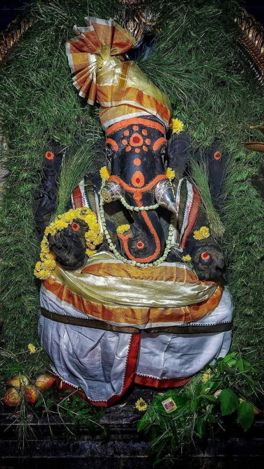 మనిషి వలె నాడి కొట్టుకునే గణపతి విగ్రహం ఉంది మీకు తెలుసా?