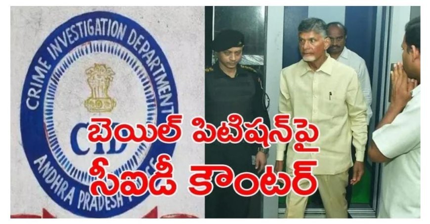 చంద్రబాబు నాయుడు బయటపడే మార్గాలు అవేనా..