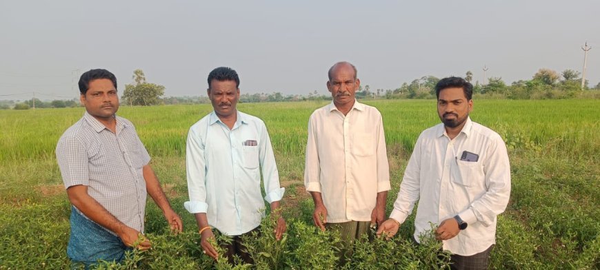 మిర్చి రైతులను ఆదుకోండి - సిపిఐ