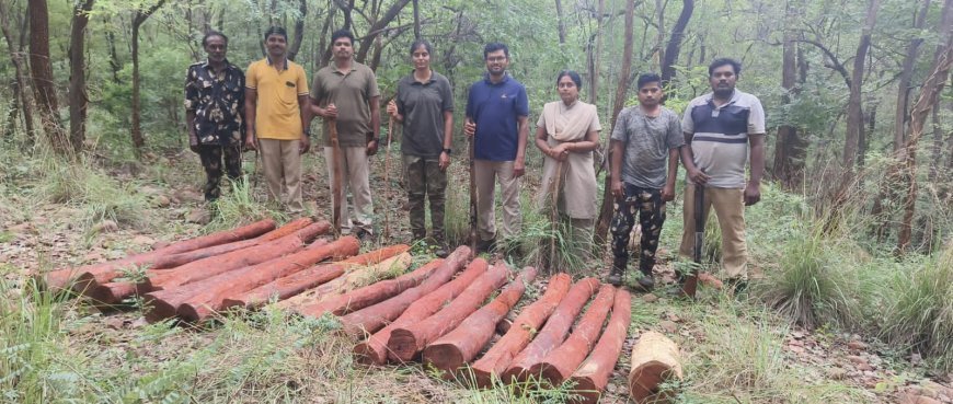 ఎర్రచందనం దుంగలు స్వాధీనం స్మగ్లర్లు పరారీ