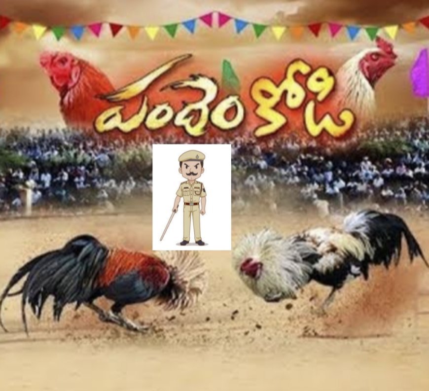 సంక్రాంతికైన కోడి పందాల ఆటలను పోలీసు పూర్తి స్థాయిలో నివారించేనా