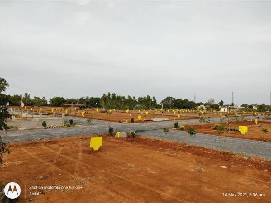 యద్దేచ్చగా సాగుతున్న రియల్ ఎస్టేట్ దందా