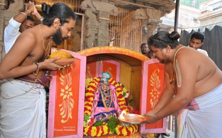 అంగ రంగ వైభవంగా కొండదిగిన అహోబలేశ్వరు జ్వాలానృసింహుడు