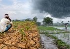 వాన కోసం ఎదురుచూపులు..ఒక్కసారిగా కుండపోత!
