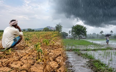వాన కోసం ఎదురుచూపులు..ఒక్కసారిగా కుండపోత!