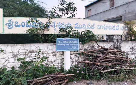 చెత్తకుప్పగా మారిన ప్రజా మున్సిపల్ పార్కు స్థలం..!