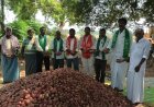 ఉల్లి రైతులను ప్రభుత్వం ఆదుకోవాలి