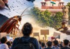 కాక్రోచ్ ఉద్యమం… ఒక వ్యంగ్యానికి పుట్టి, వ్యవస్థపై ప్రశ్నగా మారిన స్వరం!