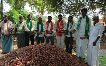 ఉల్లి రైతులను ప్రభుత్వం ఆదుకోవాలి